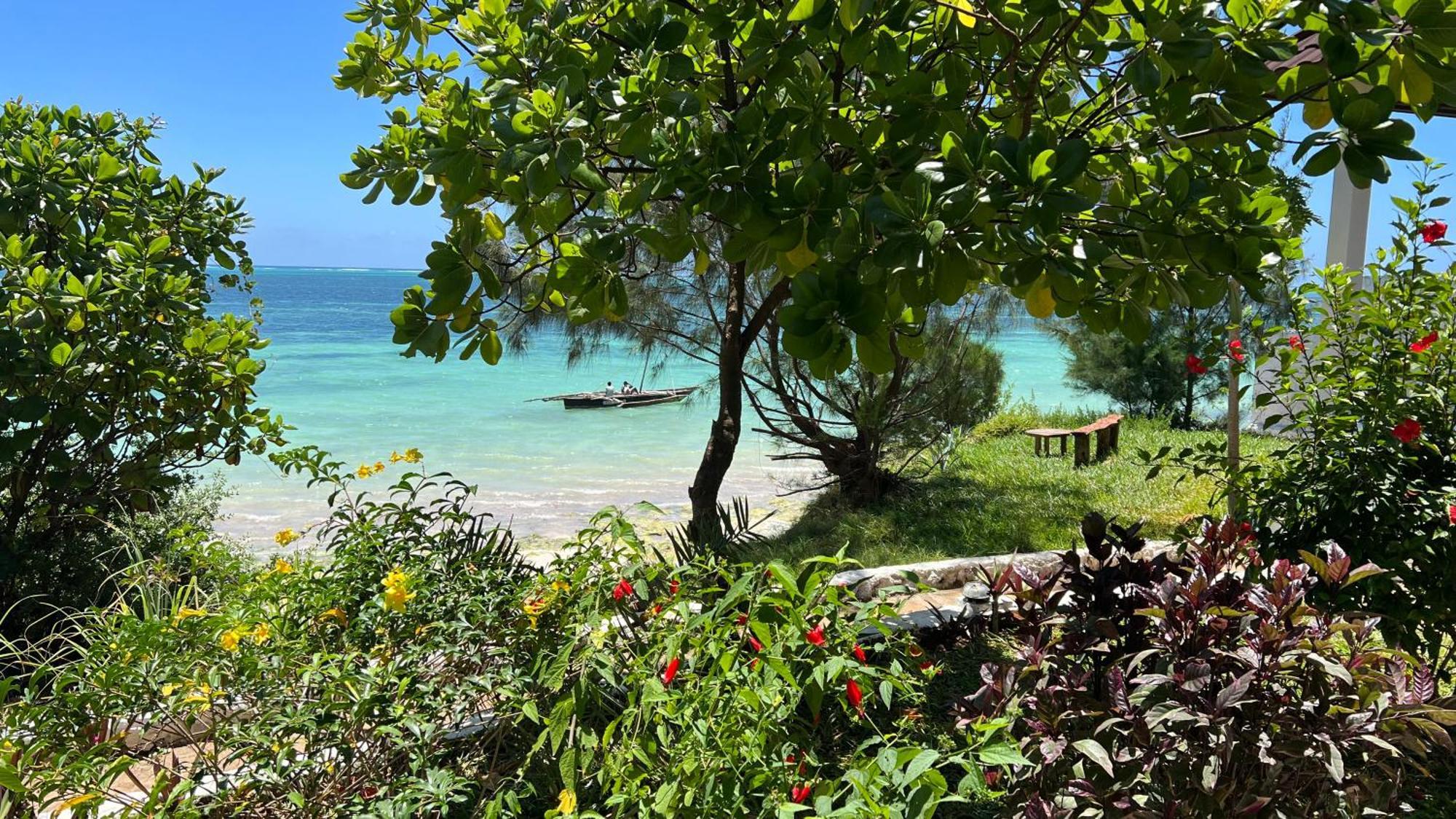 Hotell Z-lodge Zanzibar Kiwengwa (Zanzibar)