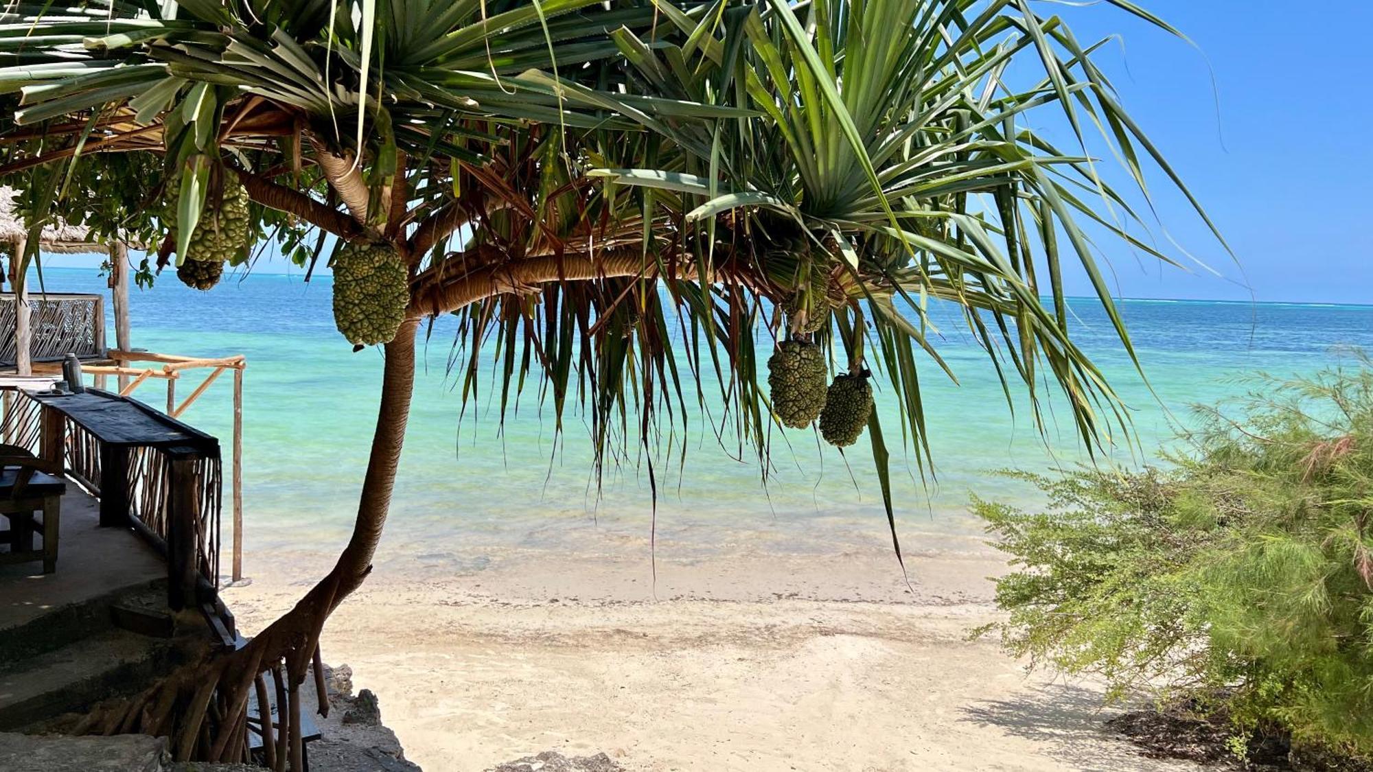 Hotell Z-lodge Zanzibar 4*